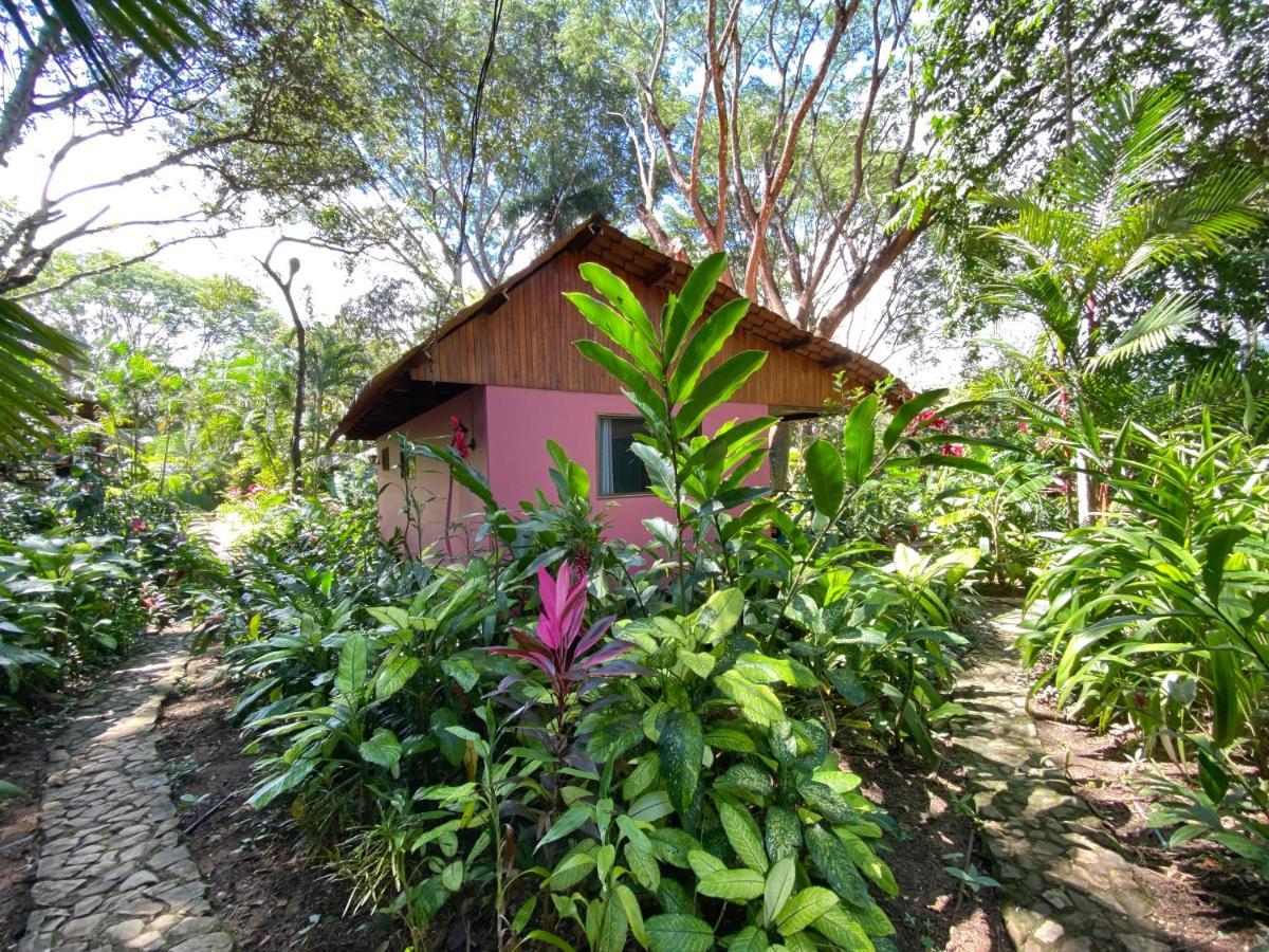 Casa Colores Hotel Montezuma Exterior photo