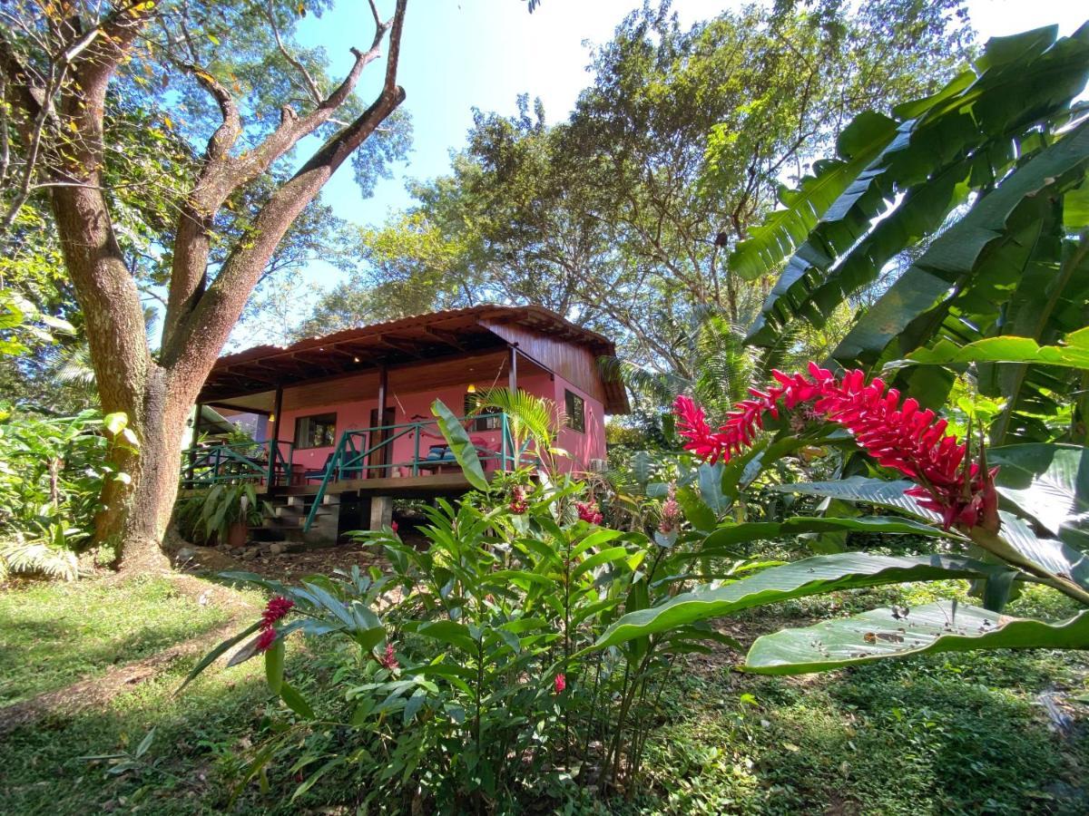 Casa Colores Hotel Montezuma Exterior photo