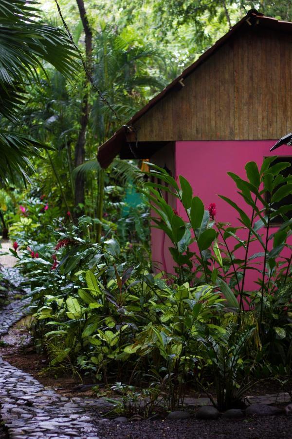 Casa Colores Hotel Montezuma Exterior photo